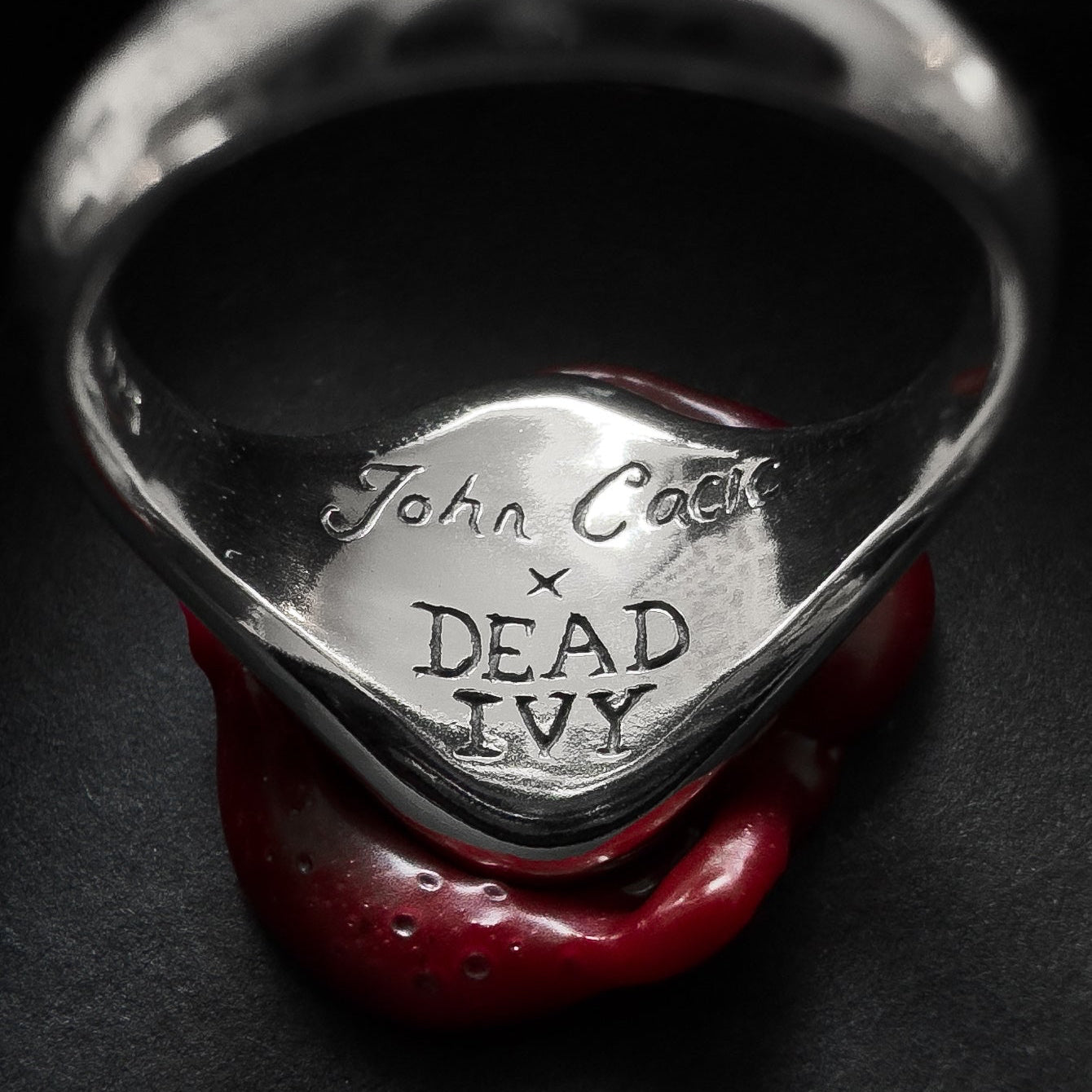 Forget Me Not . John Cacic X Dead Ivy