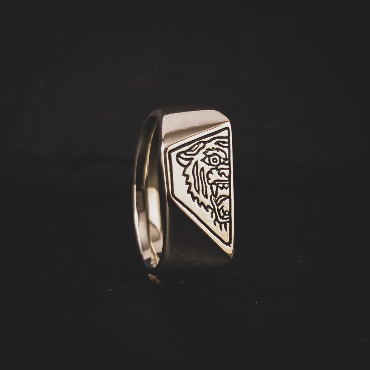 “Thunder Cat” - Matt O’Brien x Dead Ivy