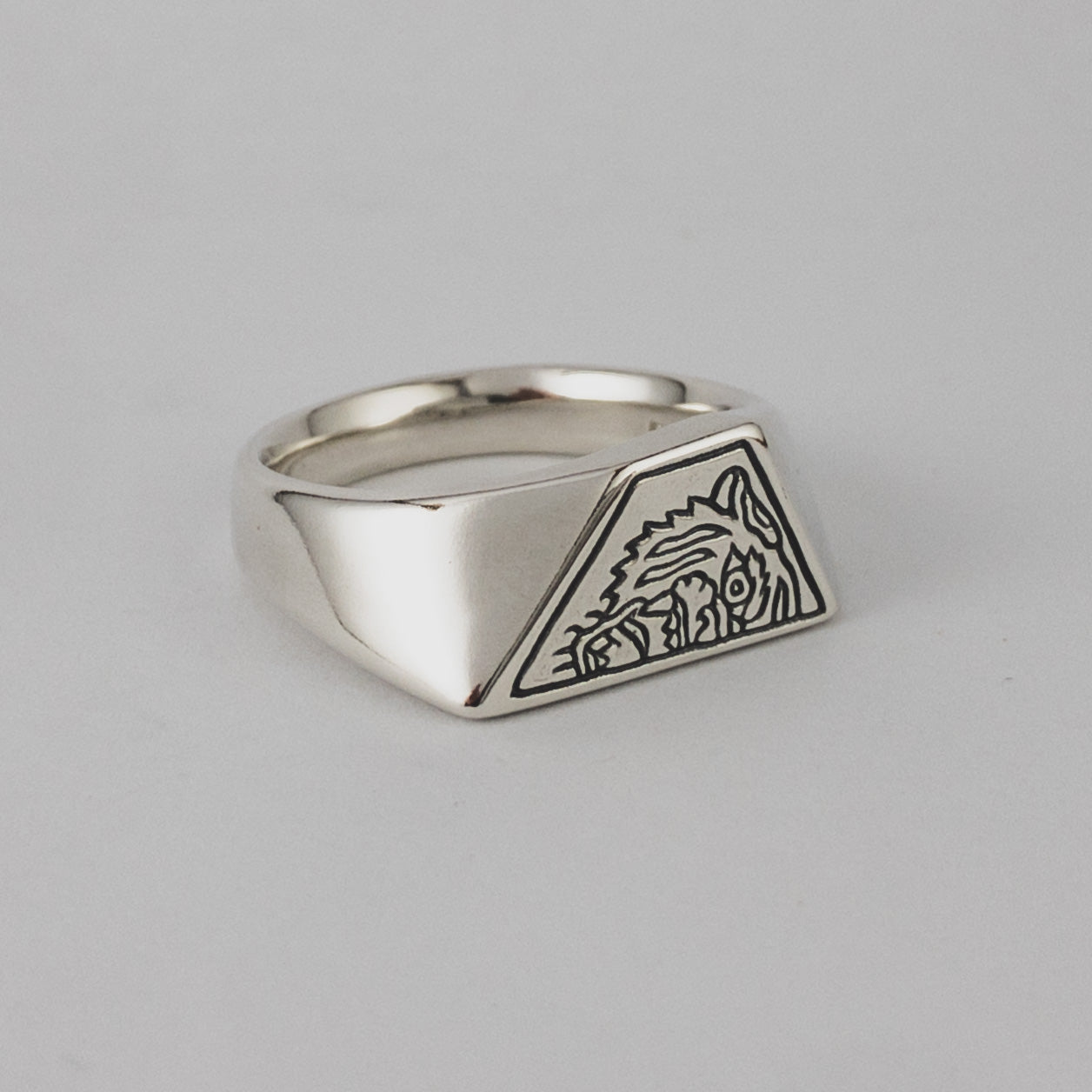 “Thunder Cat” - Matt O’Brien x Dead Ivy